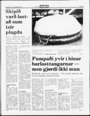 Síða 5