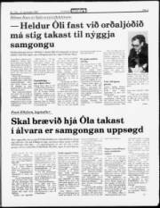 Síða 3