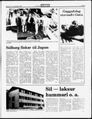 Síða 5