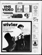 Síða 11