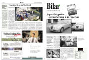Síða 9
