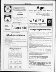 Síða 2