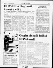 Síða 3