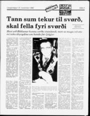 Síða 9
