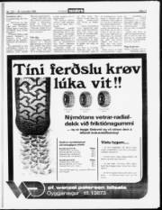 Síða 11