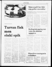 Síða 3