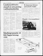 Síða 3