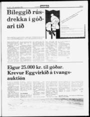 Síða 5