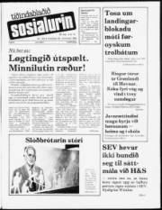 Síða 1