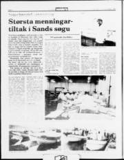 Síða 4