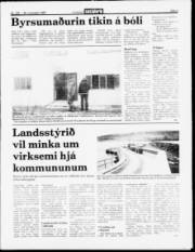 Síða 3