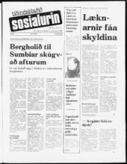 Síða 1