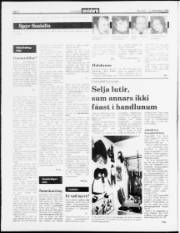 Síða 2