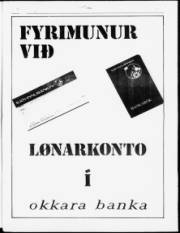 Síða 3