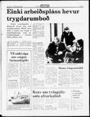 Síða 5