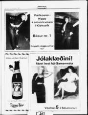 Síða 17