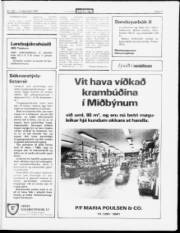 Síða 11