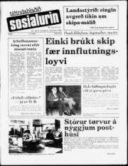 Síða 1