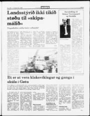 Síða 3