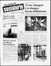 Síða 1