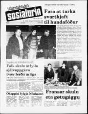 Síða 1