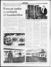 Síða 2