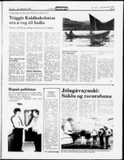 Síða 5