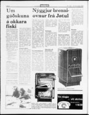 Síða 4