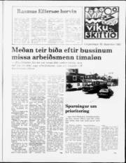Síða 7