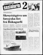 Síða 17