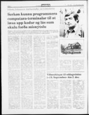 Síða 2