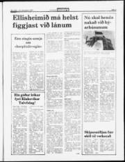 Síða 3