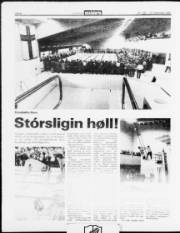 Síða 8