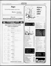 Síða 13