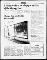 Síða 5