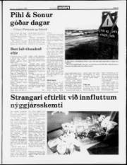 Síða 5