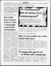 Síða 3