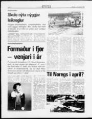 Síða 8