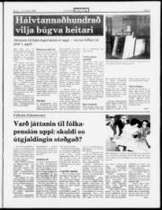 Síða 3