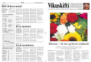 Síða 11
