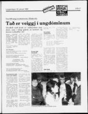 Síða 9