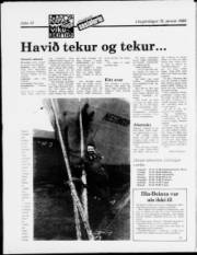 Síða 14