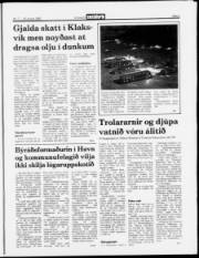 Síða 5