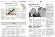 Síða 15