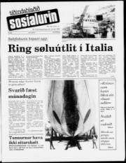 Síða 1