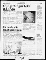 Síða 5
