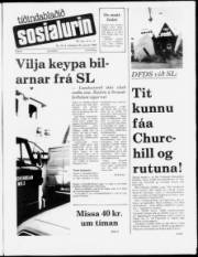Síða 1