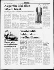 Síða 3