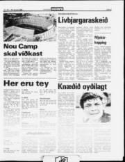 Síða 9