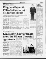 Síða 3